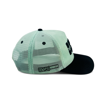 HTIH Signature Mint Snapback